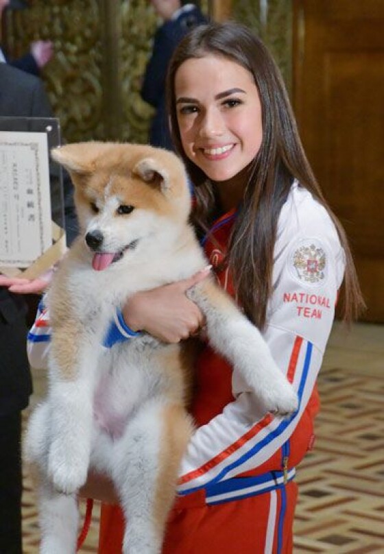 写真 海外でも人気 柴犬と秋田犬 28 30 時事通信ニュース