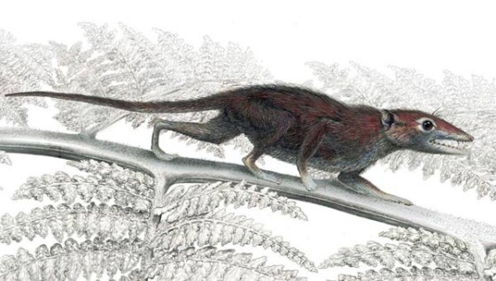 写真】古代生物想像図鑑 (36/38) | 時事通信ニュース