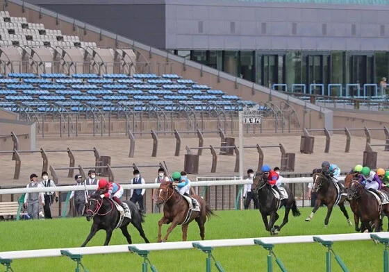 写真】【歴代】ダービー馬 (45/75) | 時事通信ニュース 写真】【歴代】ダービー馬 (45/75) | 時事通信ニュース