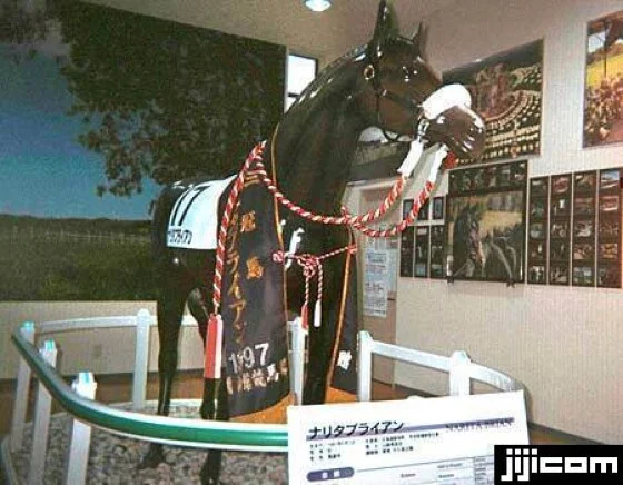 ナリタブライアンの写真一覧 - netkeiba