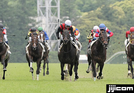 写真 競馬 時代を駆け抜けた名馬 145 時事通信ニュース