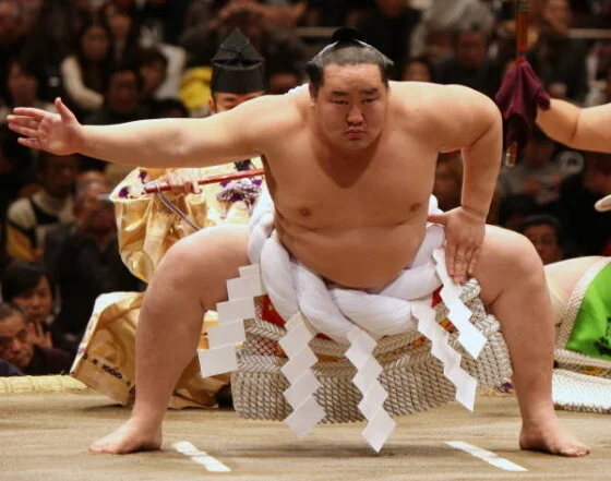 写真】【歴代】「横綱ヒストリー」栃錦から稀勢の里まで (13/29