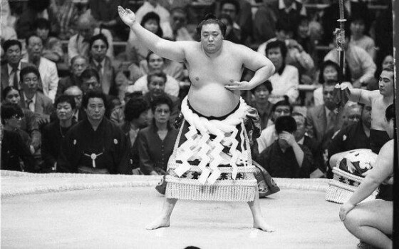 写真】【歴代】「横綱ヒストリー」栃錦から稀勢の里まで (10/29