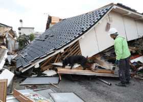 倒壊した建物に取り残された人がいないか捜索する国際救助犬エルザとハンドラーの森田康博さん＝４日午後、石川県輪島市