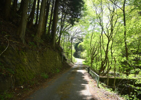 宝島さんら２人の遺体が遺棄された現場近くの林道＝４月２６日、栃木県那須町