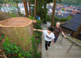 能登半島地震の影響で伐採したご神木の切り株を見る加藤藍子さん（左）＝６月２０日、石川県能登町