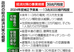 政府の総合経済対策の概要