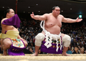 土俵入りする横綱照ノ富士＝１４日、東京・両国国技館