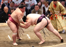 大栄翔（左）は引き落としで王鵬を下す＝１８日、エディオンアリーナ大阪