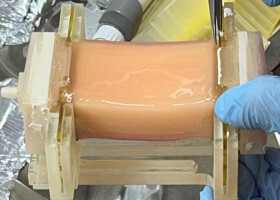 新しい製法で作った厚さ１センチを超える「培養肉」（東京大竹内昌治研究室提供）
