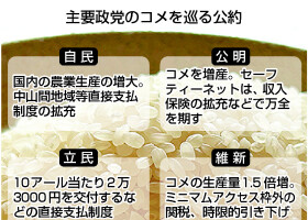 主要政党のコメを巡る公約