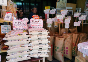 精米店の店頭に積み上げられたコメ＝１８日、東京都内（ＡＦＰ時事）