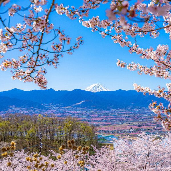 山梨県笛吹市