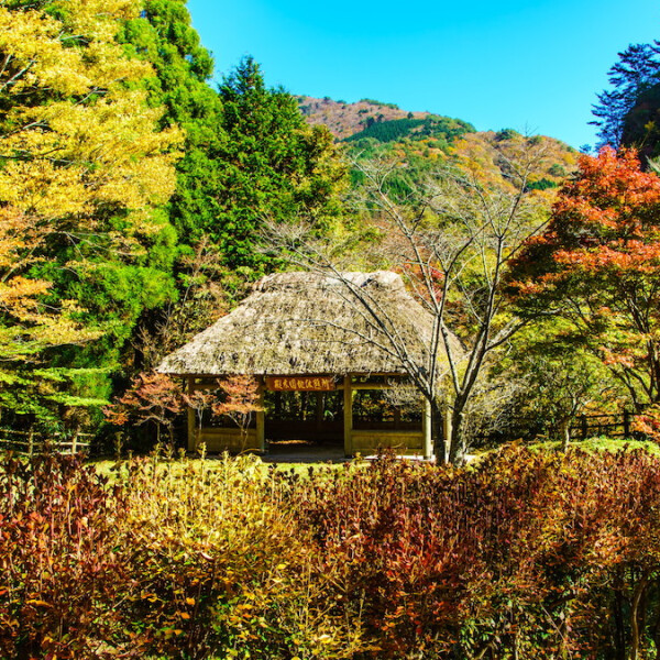 熊本県八代市