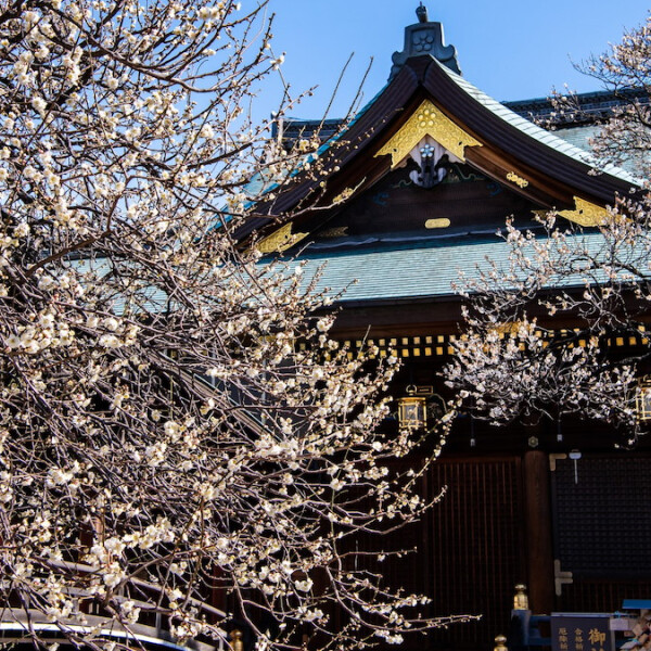 東京都文京区