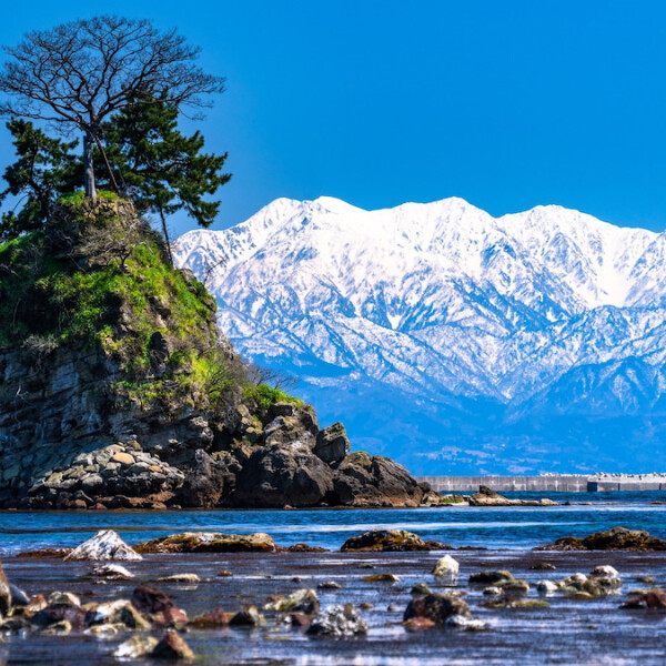 富山県高岡市