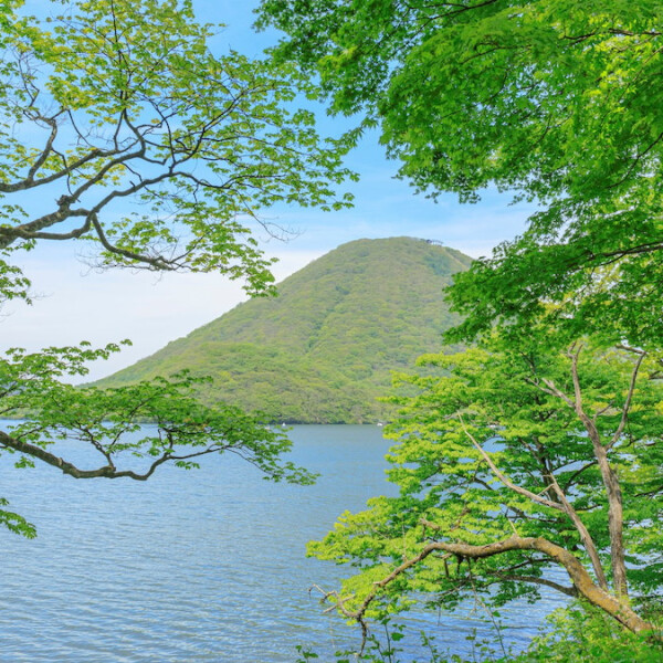 群馬県高崎市