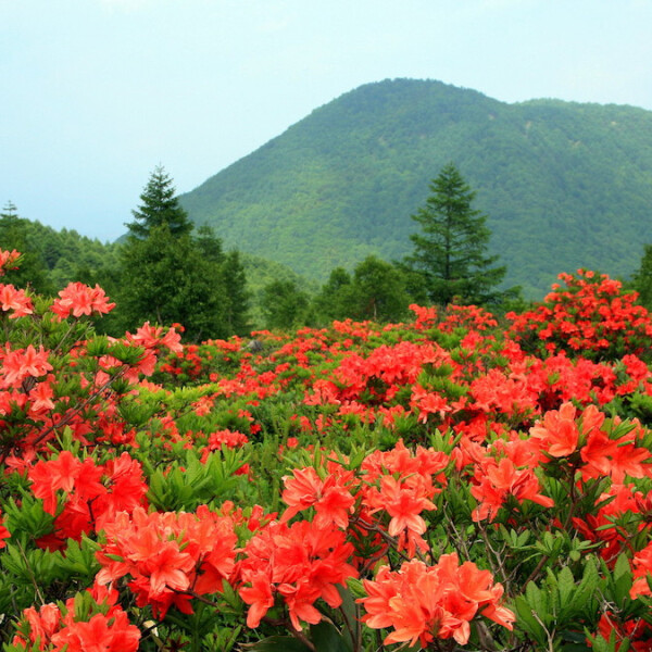 長野県東御市