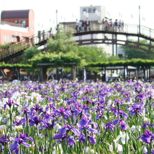 茨城県潮来市