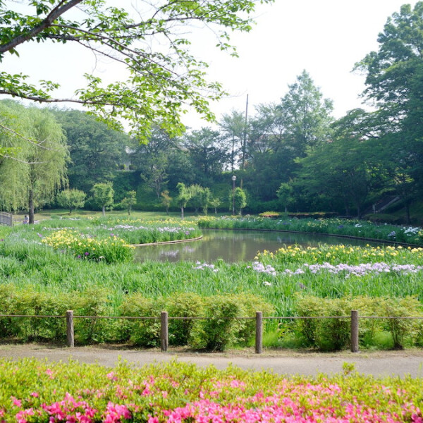 茨城県守谷市
