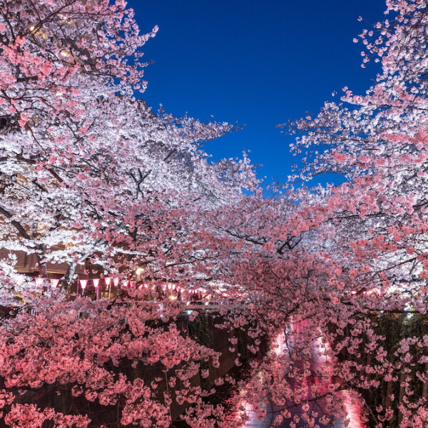 東京都目黒区