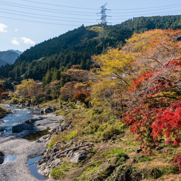 東京都青梅市