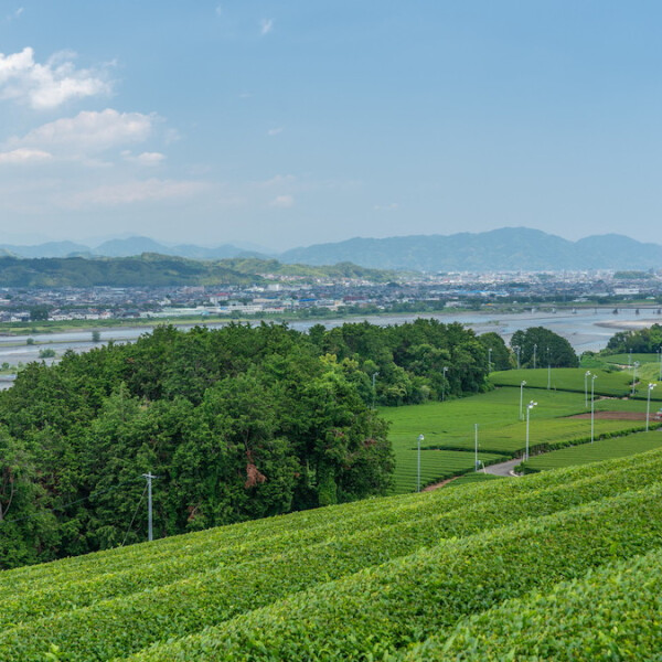 静岡県牧之原市