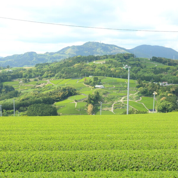 静岡県掛川市