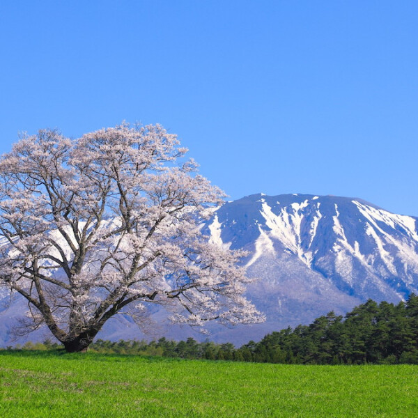 岩手県盛岡市