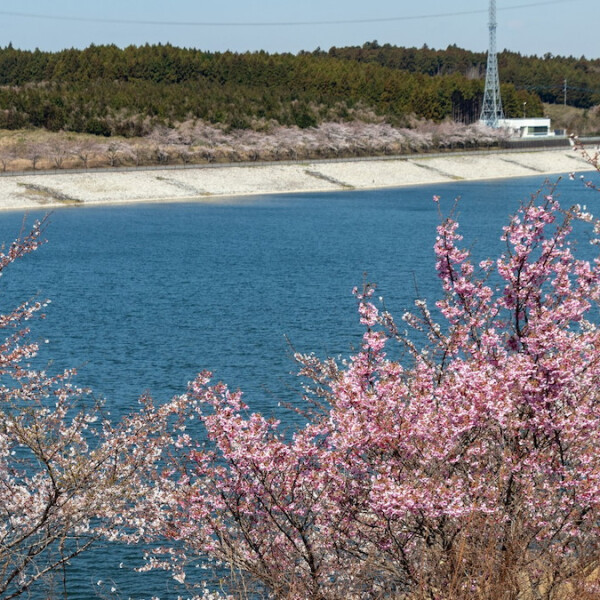 千葉県長柄町