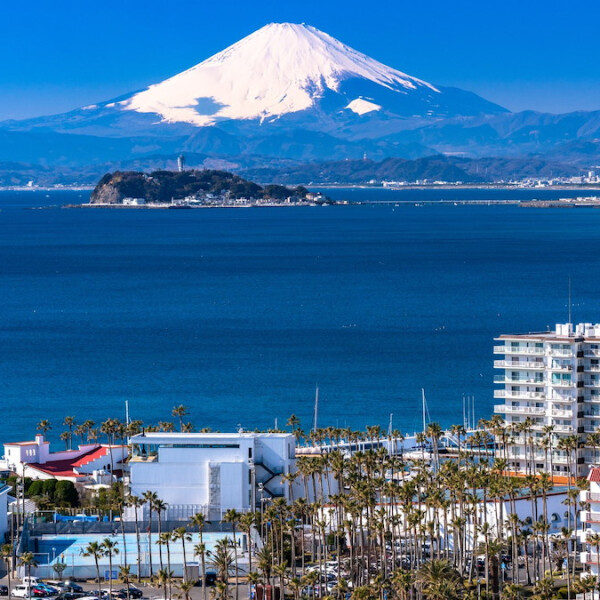 神奈川県藤沢市