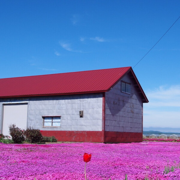 北海道名寄市