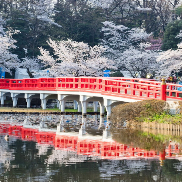 埼玉県さいたま市