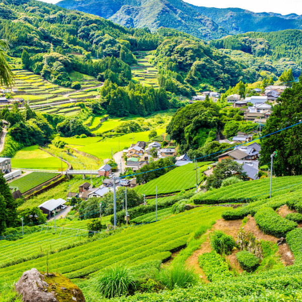 佐賀県嬉野市