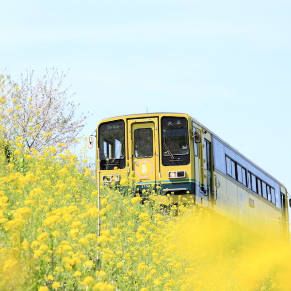 千葉県いすみ市
