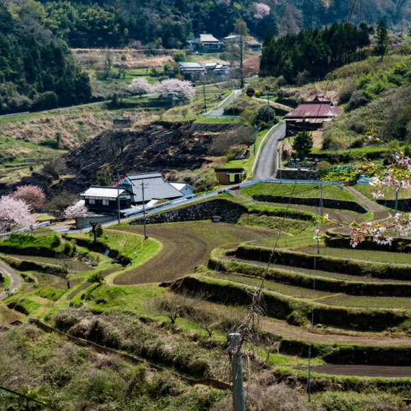 岡山県美作市